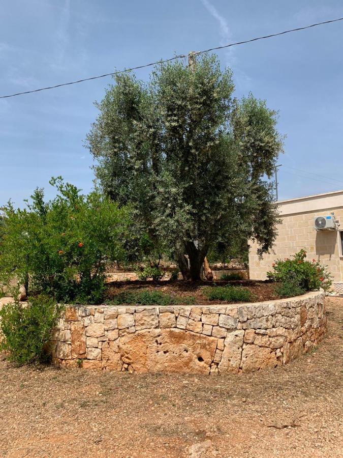 Il Trullo Di Francesca Villa Ceglie Messapica Dış mekan fotoğraf